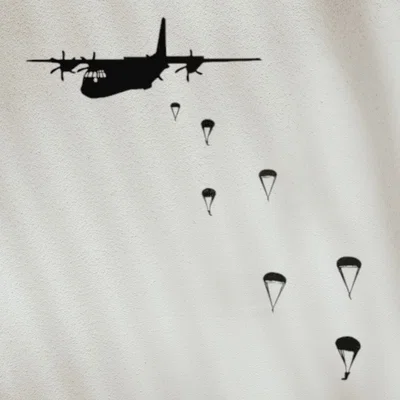 Tranh Treo Tường 3D Skydive Squadron Wall Art