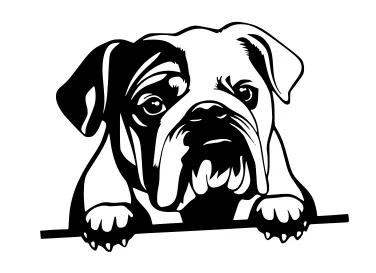 Mô hình 3D trang trí tường hình chú chó English Bulldog đáng yêu - Image 1