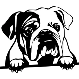 Mô hình 3D trang trí tường hình chú chó English Bulldog đáng yêu