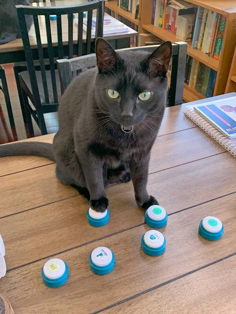 Khung giữ nút FluentPet (FluentPet button holder) - Image 5