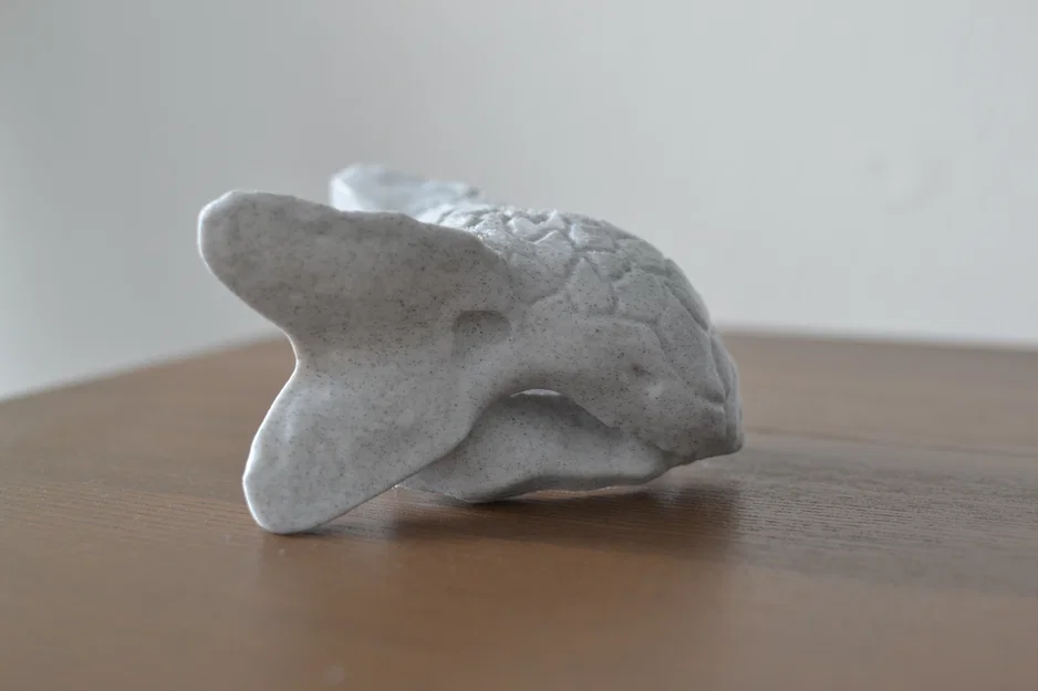 Hộp sọ Ankylosaurus - Image 2