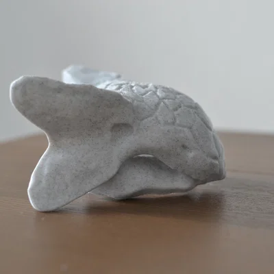 Hộp sọ Ankylosaurus