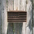 Nhà Ong American Bee House (phong cách cờ Mỹ) - Thumbnail 2