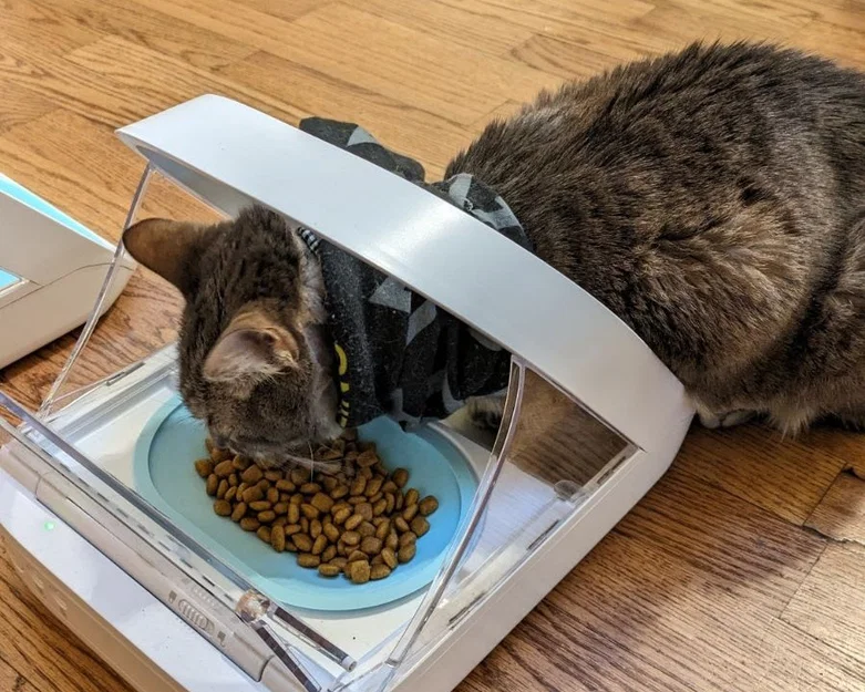 Chén nông nâng cao cho SureFeed microchip pet feeder - Image 1