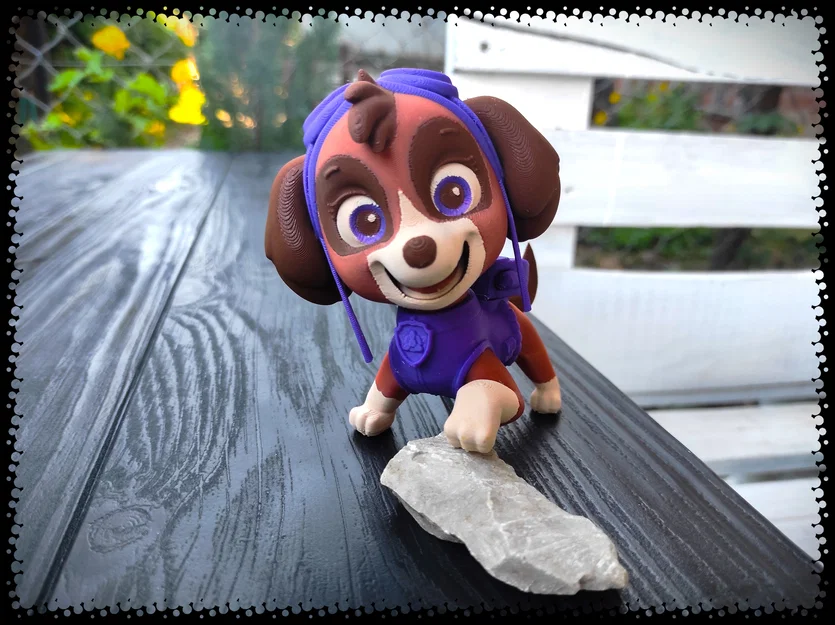 Skye từ Paw Patrol - Image 1