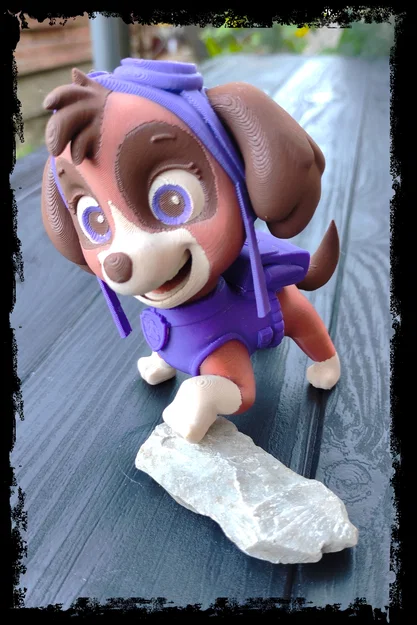 Skye từ Paw Patrol - Image 3
