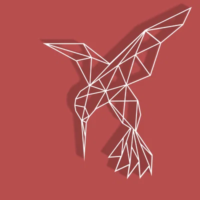 Chim Ruồi Hình Học (Geometric Humming Bird)