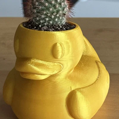 Chậu cây 3D hình chú vịt vàng Rubber Duck độc đáo