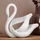Ape5Hit_3877