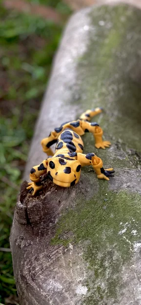 Mô hình kỳ giông Flexi Salamander linh hoạt in 3D cực dễ - Image 1