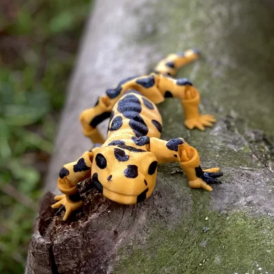 Mô hình kỳ giông Flexi Salamander linh hoạt in 3D cực dễ