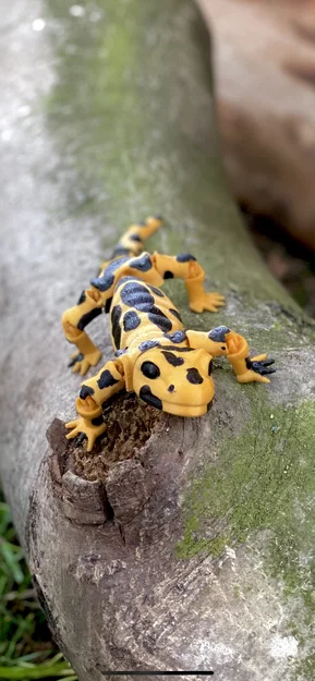 Mô hình kỳ giông Flexi Salamander linh hoạt in 3D cực dễ - Image 2