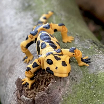 Mô hình kỳ giông Flexi Salamander linh hoạt in 3D cực dễ