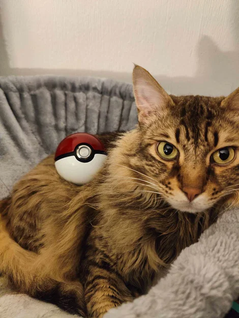 Pokeball – Mô hình có nút LED phát sáng - Image 3