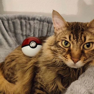 Pokeball – Mô hình có nút LED phát sáng