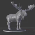 Moose Miniature (Tượng Nai Sừng Tấm Mini) - Thumbnail 1