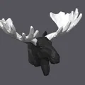 Mô hình đầu nai sừng tấm (Moose Head) phong cách Low Poly in 3D - Thumbnail 2