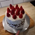 Ổ bi lớn / Bàn xoay bánh (Big Bearing/Cake Turntable) - Thumbnail 2