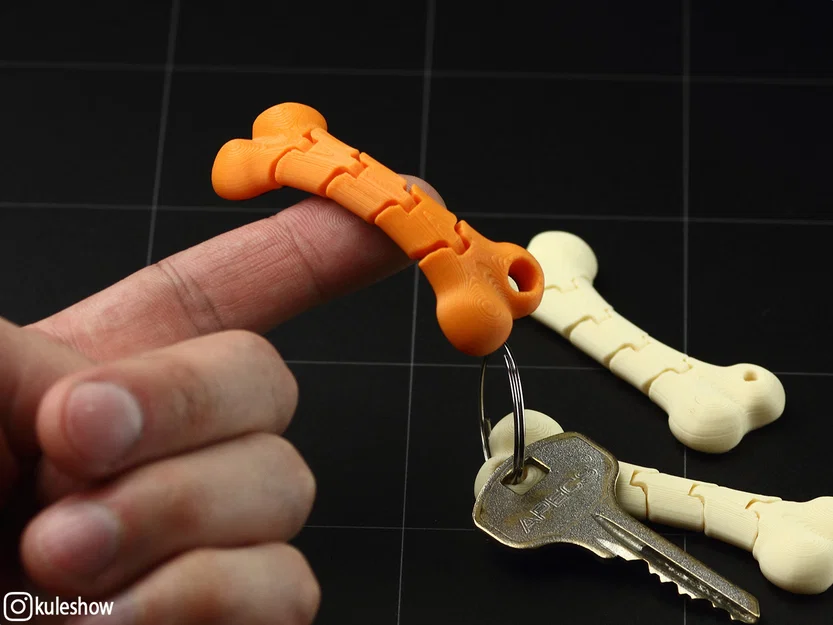 Móc khóa xương dẻo (Flexible Bone keychain) - Image 1