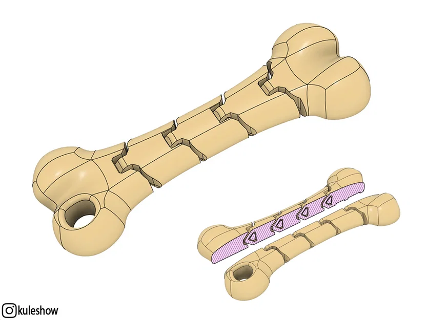 Móc khóa xương dẻo (Flexible Bone keychain) - Image 2