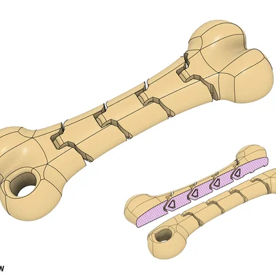 Móc khóa xương dẻo (Flexible Bone keychain)