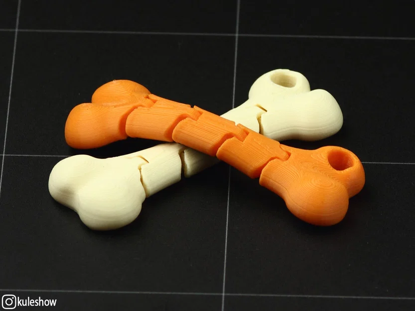 Móc khóa xương dẻo (Flexible Bone keychain) - Image 3