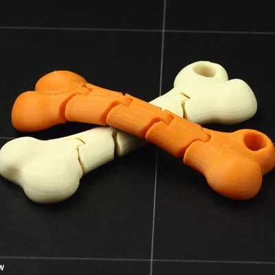 Móc khóa xương dẻo (Flexible Bone keychain)