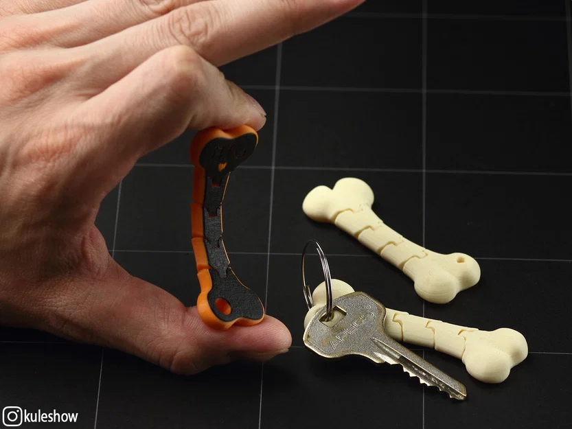 Móc khóa xương dẻo (Flexible Bone keychain) - Image 4