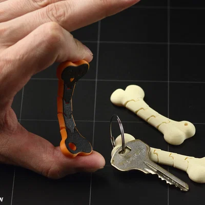 Móc khóa xương dẻo (Flexible Bone keychain)