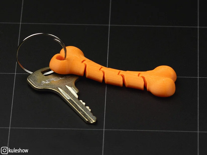 Móc khóa xương dẻo (Flexible Bone keychain) - Image 5