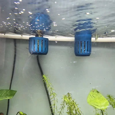 Chậu trồng cây cho hồ cá (Aquarium planters)