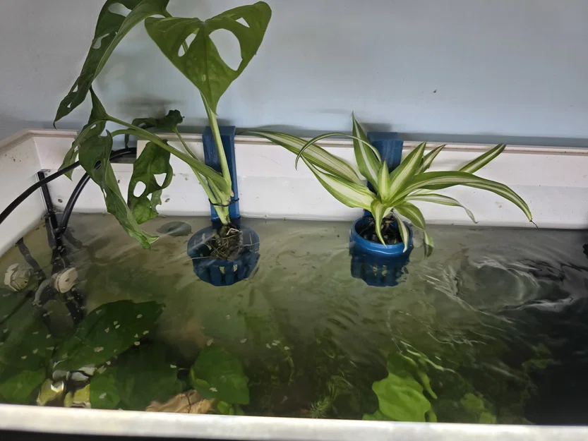 Chậu trồng cây cho hồ cá (Aquarium planters) - Image 2