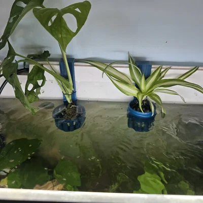 Chậu trồng cây cho hồ cá (Aquarium planters)