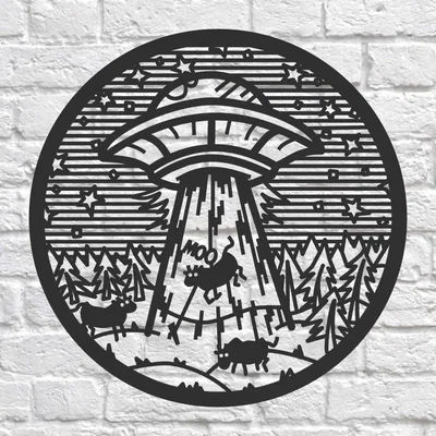 Moo... bò bị người ngoài hành tinh bắt cóc