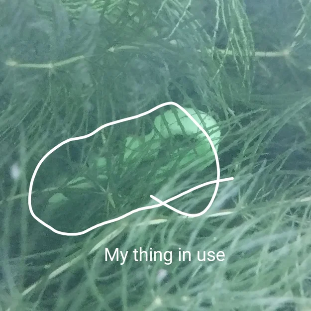 Kẹp Giữ Cây Thủy Sinh In 3D (Aquarium Plant Holder) - Image 5