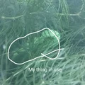 Kẹp Giữ Cây Thủy Sinh In 3D (Aquarium Plant Holder) - Thumbnail 5