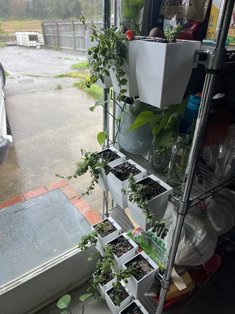 Chậu treo cho kệ dây (Wire Shelf Hanging Planter) - Image 1