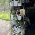 Chậu treo cho kệ dây (Wire Shelf Hanging Planter) - Thumbnail 4