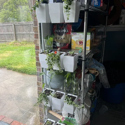 Chậu treo cho kệ dây (Wire Shelf Hanging Planter)