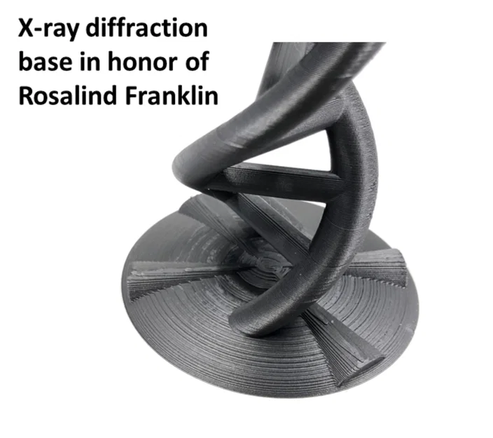DNA xoắn kép với Nhiễu xạ tia X (Tri ân Rosalind Franklin) - Image 2