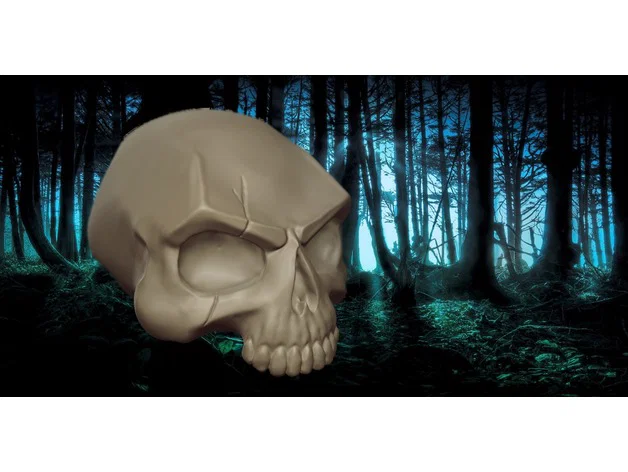 SKULL - SCAR - Image 1