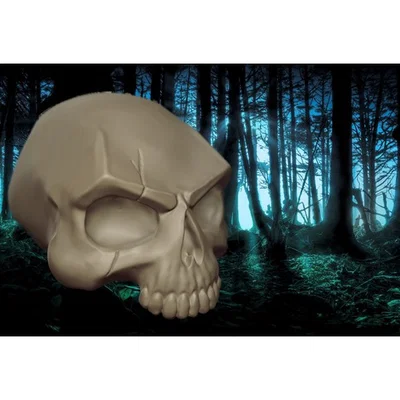SKULL - SCAR