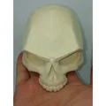 SKULL - SCAR - Thumbnail 2