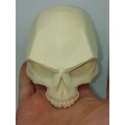 SKULL - SCAR