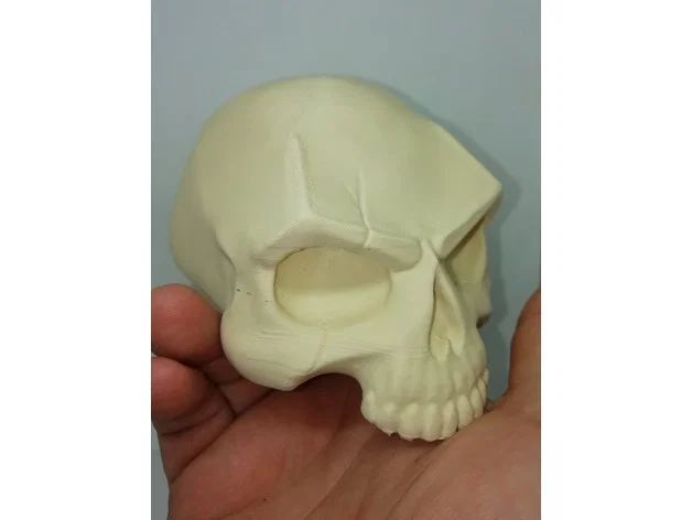 SKULL - SCAR - Image 3