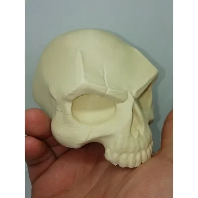 SKULL - SCAR