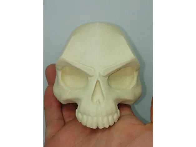 SKULL - SCAR - Image 4