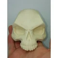 SKULL - SCAR - Thumbnail 4