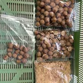 Con lăn vo boilies thủ công cho câu cá chép (Bollie roller) - Thumbnail 2