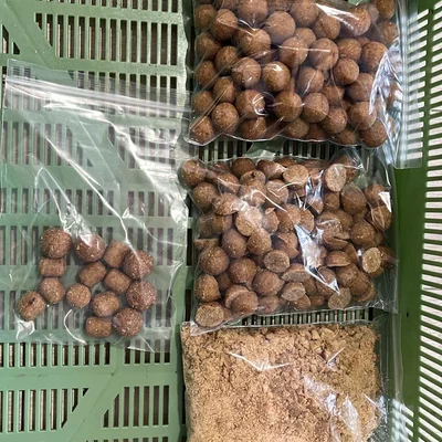 Con lăn vo boilies thủ công cho câu cá chép (Bollie roller)
